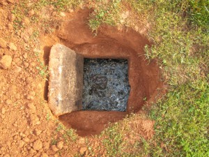 Septic System Maintenance Tips